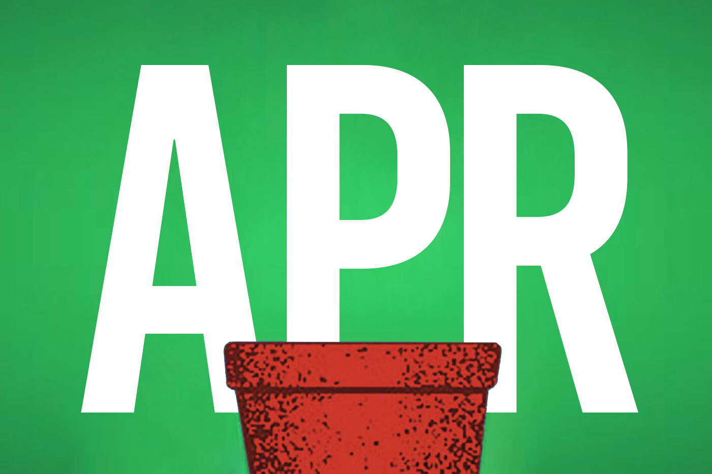 seedling in pot with APR in background